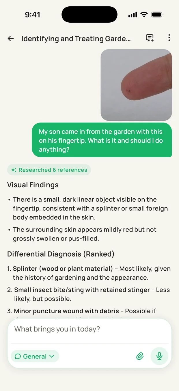 A photo of a fingertip after gardening, with the most likely explanations ranked: a splinter, an insect bite, or a minor puncture wound.